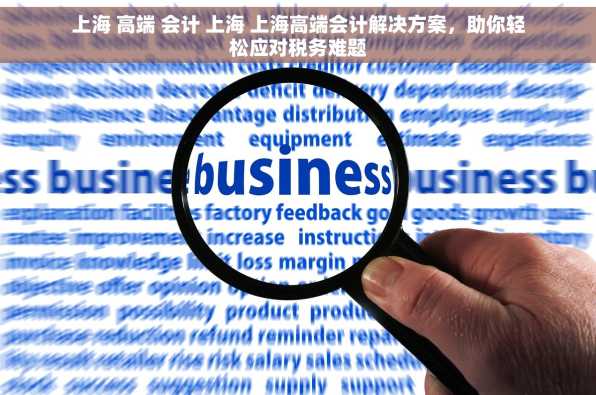 上海 高端 会计 上海 上海高端会计解决方案，助你轻松应对税务难题