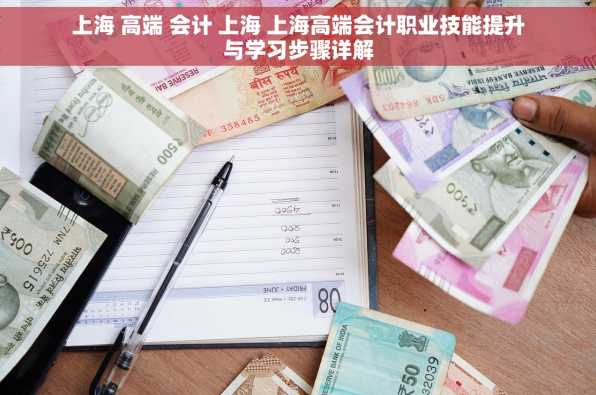 上海 高端 会计 上海 上海高端会计职业技能提升与学习步骤详解