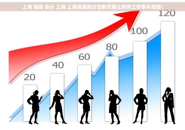 上海 高端 会计 上海 上海高端会计定制方案让财务工作事半功倍！