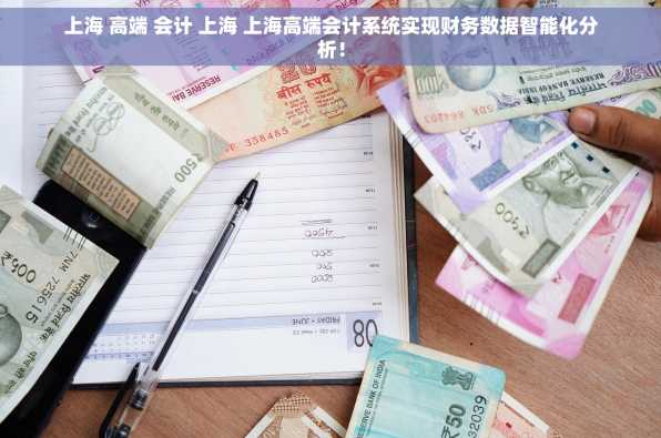 上海 高端 会计 上海 上海高端会计系统实现财务数据智能化分析！