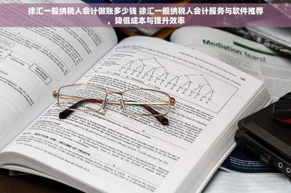 徐汇一般纳税人会计做账多少钱 徐汇一般纳税人会计服务与软件推荐，降低成本与提升效率