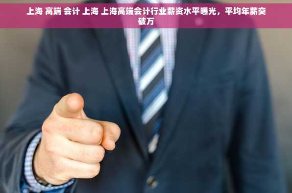 上海 高端 会计 上海 上海高端会计行业薪资水平曝光，平均年薪突破万