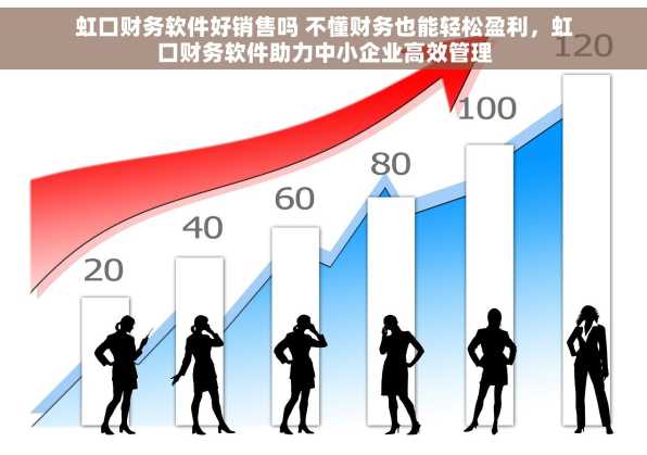虹口财务软件好销售吗 不懂财务也能轻松盈利，虹口财务软件助力中小企业高效管理