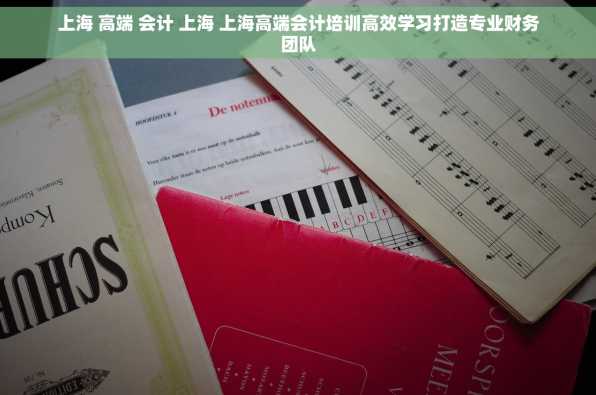 上海 高端 会计 上海 上海高端会计培训高效学习打造专业财务团队