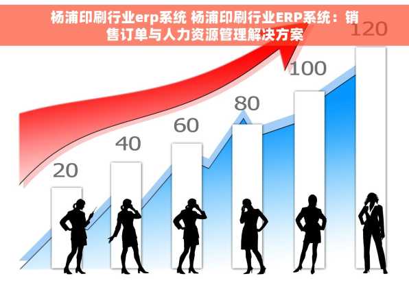 杨浦印刷行业erp系统 杨浦印刷行业ERP系统：销售订单与人力资源管理解决方案