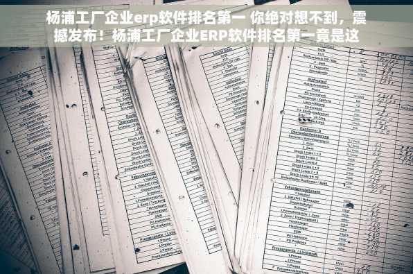杨浦工厂企业erp软件排名第一 你绝对想不到，震撼发布！杨浦工厂企业ERP软件排名第一竟是这个！
