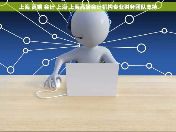 上海 高端 会计 上海 上海高端会计机构专业财务团队支持