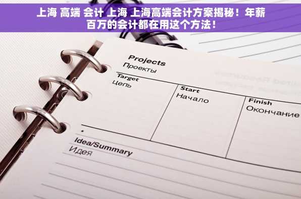 上海 高端 会计 上海 上海高端会计方案揭秘！年薪百万的会计都在用这个方法！
