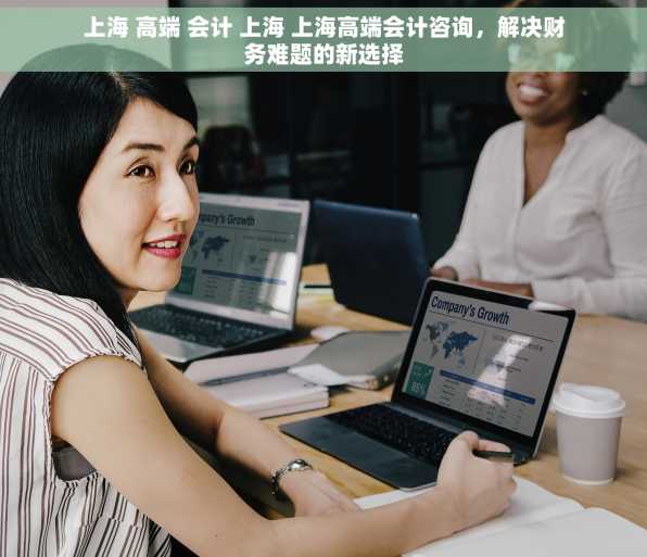上海 高端 会计 上海 上海高端会计咨询，解决财务难题的新选择