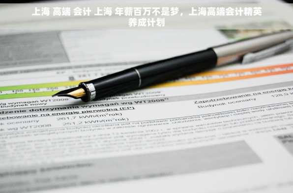 上海 高端 会计 上海 年薪百万不是梦，上海高端会计精英养成计划
