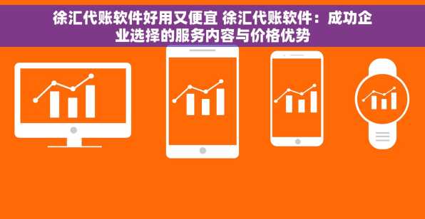 徐汇代账软件好用又便宜 徐汇代账软件：成功企业选择的服务内容与价格优势