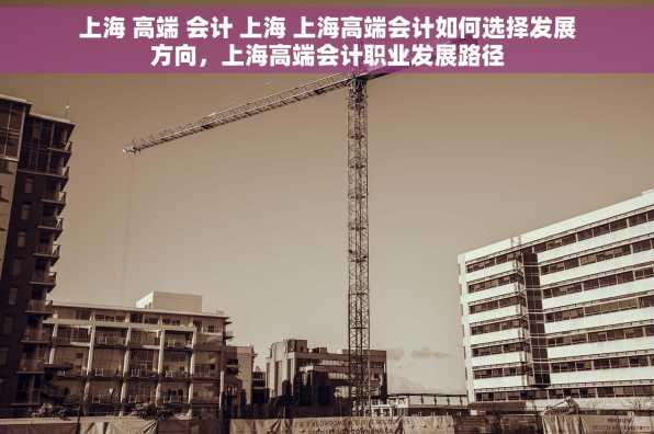 上海 高端 会计 上海 上海高端会计如何选择发展方向，上海高端会计职业发展路径