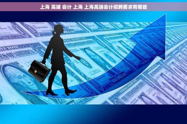 上海 高端 会计 上海 上海高端会计招聘要求有哪些