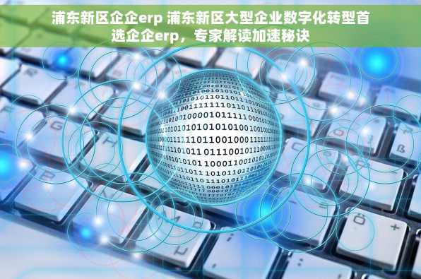 浦东新区企企erp 浦东新区大型企业数字化转型首选企企erp，专家解读加速秘诀