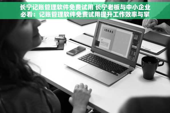 长宁记账管理软件免费试用 长宁老板与中小企业必看：记账管理软件免费试用提升工作效率与掌控财务数据