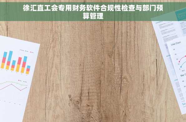 徐汇直工会专用财务软件合规性检查与部门预算管理