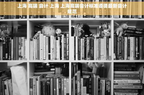 上海 高端 会计 上海 上海高端会计标准遵循最新会计规范