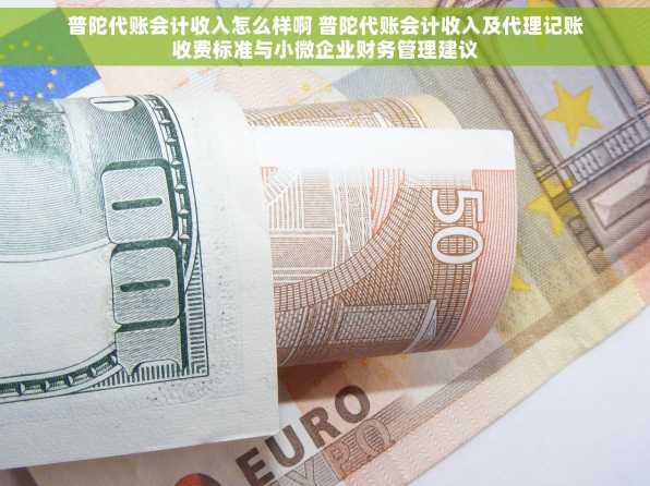 普陀代账会计收入怎么样啊 普陀代账会计收入及代理记账收费标准与小微企业财务管理建议