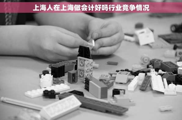 上海人在上海做会计好吗行业竞争情况