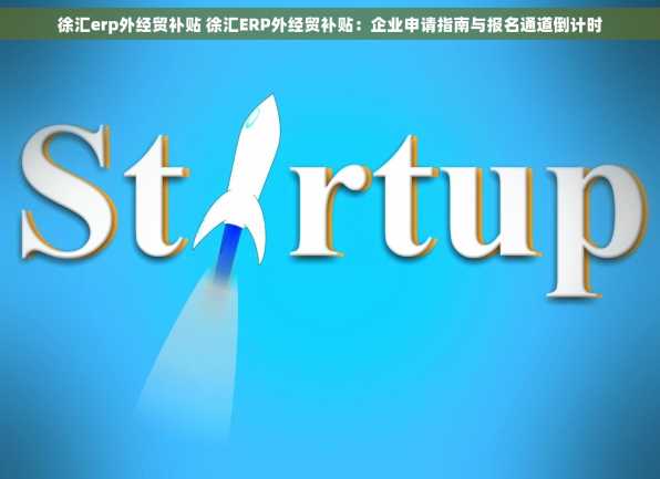 徐汇erp外经贸补贴 徐汇ERP外经贸补贴：企业申请指南与报名通道倒计时