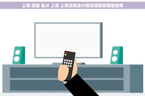 上海 高端 会计 上海 上海高端会计培训课程有哪些推荐