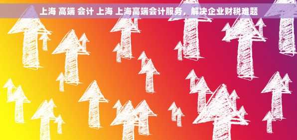 上海 高端 会计 上海 上海高端会计服务，解决企业财税难题