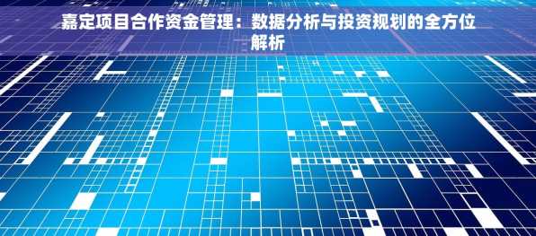 嘉定项目合作资金管理：数据分析与投资规划的全方位解析