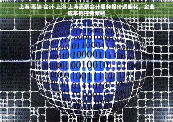 上海 高端 会计 上海 上海高端会计服务报价透明化，企业成本把控新策略