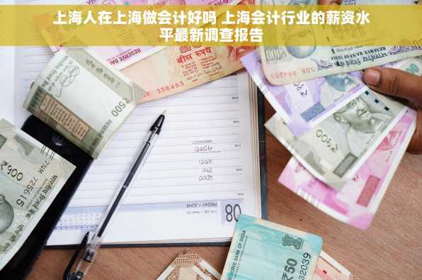 上海人在上海做会计好吗 上海会计行业的薪资水平最新调查报告