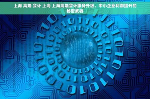 上海 高端 会计 上海 上海高端会计服务升级，中小企业利润提升的秘密武器