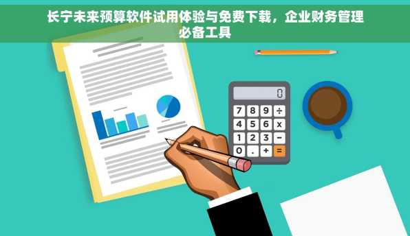 长宁未来预算软件试用体验与免费下载，企业财务管理必备工具