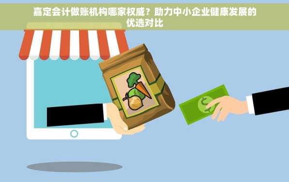 嘉定会计做账机构哪家权威？助力中小企业健康发展的优选对比