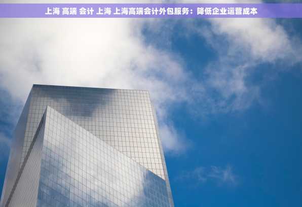 上海 高端 会计 上海 上海高端会计外包服务：降低企业运营成本