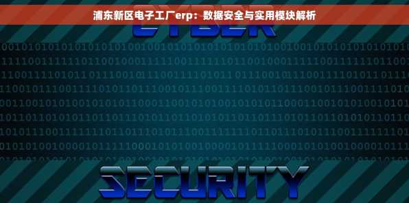 浦东新区电子工厂erp：数据安全与实用模块解析