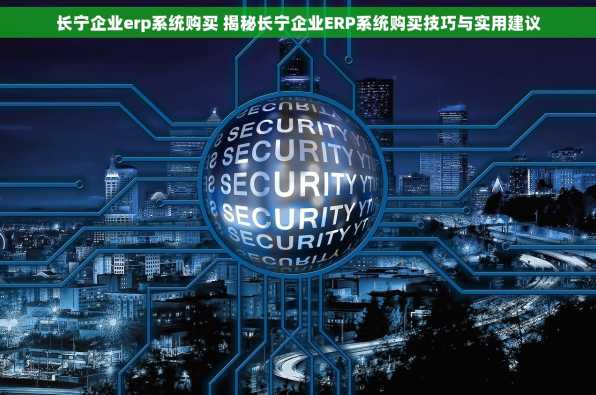 长宁企业erp系统购买 揭秘长宁企业ERP系统购买技巧与实用建议