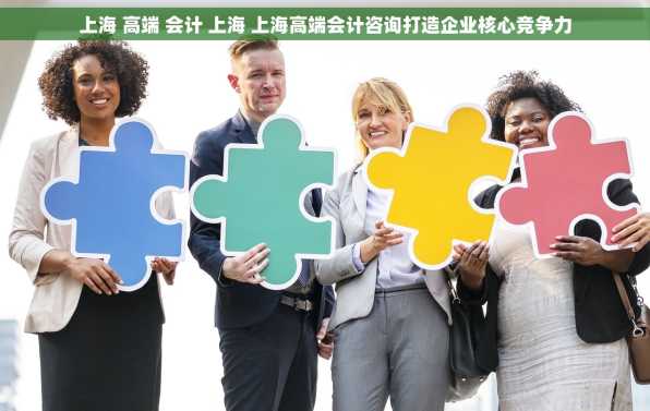 上海 高端 会计 上海 上海高端会计咨询打造企业核心竞争力