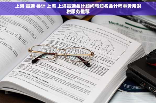 上海 高端 会计 上海 上海高端会计顾问与知名会计师事务所财税服务推荐