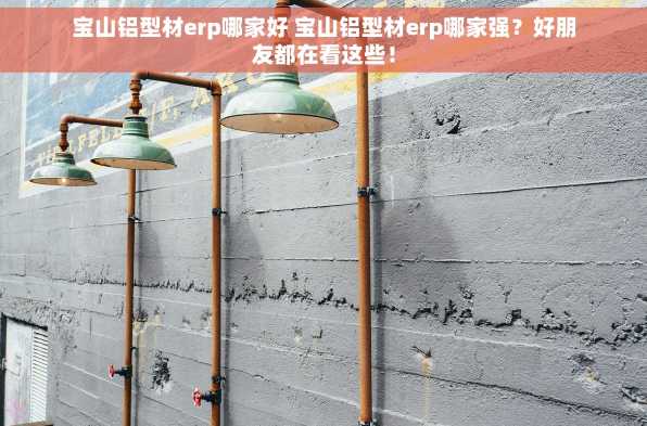 宝山铝型材erp哪家好 宝山铝型材erp哪家强？好朋友都在看这些！