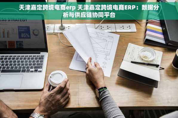 天津嘉定跨境电商erp 天津嘉定跨境电商ERP：数据分析与供应链协同平台