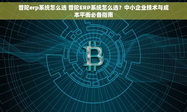 普陀erp系统怎么选 普陀ERP系统怎么选？中小企业技术与成本平衡必备指南