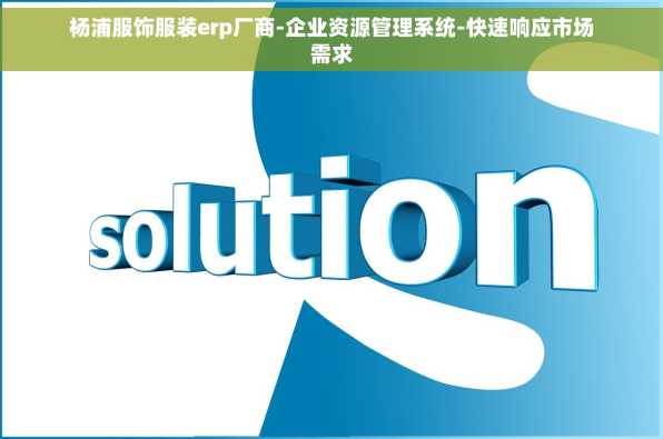 杨浦服饰服装erp厂商-企业资源管理系统-快速响应市场需求