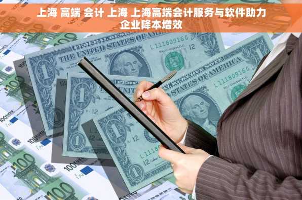 上海 高端 会计 上海 上海高端会计服务与软件助力企业降本增效