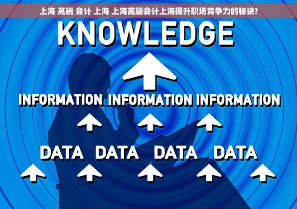 上海 高端 会计 上海 上海高端会计上海提升职场竞争力的秘诀?