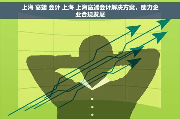 上海 高端 会计 上海 上海高端会计解决方案，助力企业合规发展