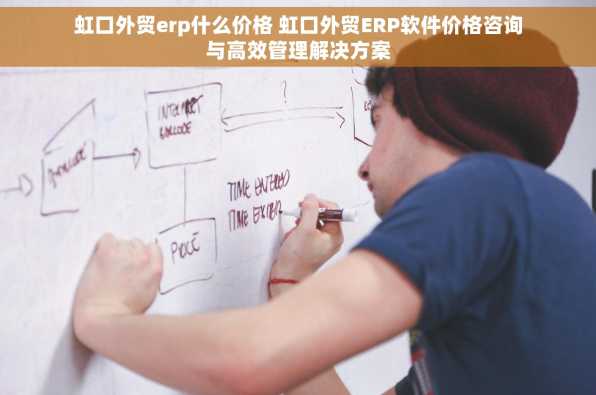 虹口外贸erp什么价格 虹口外贸ERP软件价格咨询与高效管理解决方案