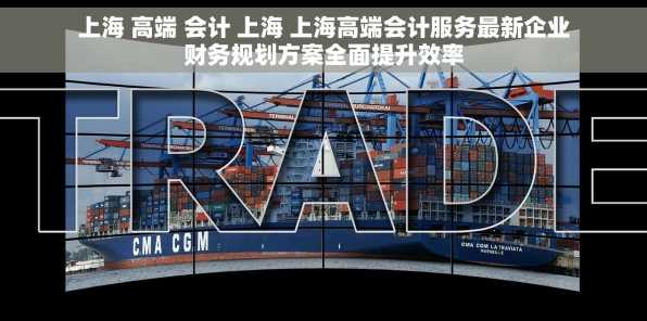 上海 高端 会计 上海 上海高端会计服务最新企业财务规划方案全面提升效率
