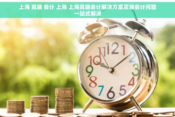 上海 高端 会计 上海 上海高端会计解决方案高端会计问题一站式解决