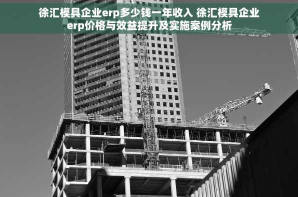 徐汇模具企业erp多少钱一年收入 徐汇模具企业erp价格与效益提升及实施案例分析