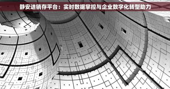 静安进销存平台：实时数据掌控与企业数字化转型助力