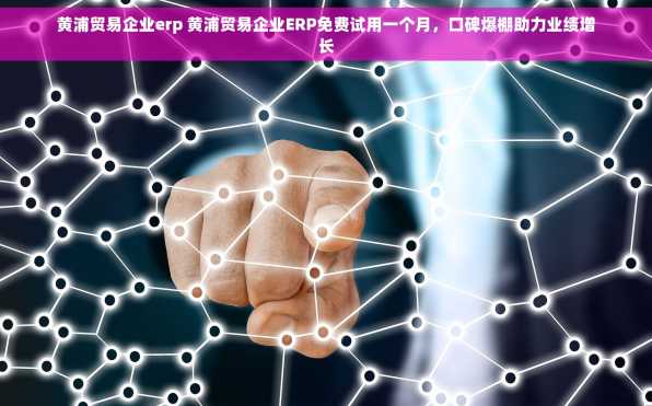 黄浦贸易企业erp 黄浦贸易企业ERP免费试用一个月，口碑爆棚助力业绩增长